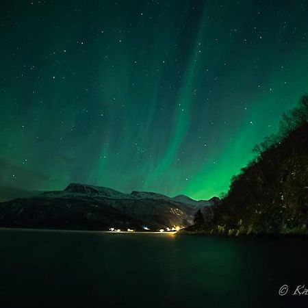 Hotel Elvegard Fjordcamp Grov Exteriér fotografie