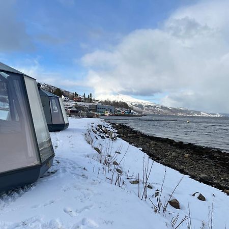Hotel Elvegard Fjordcamp Grov Exteriér fotografie