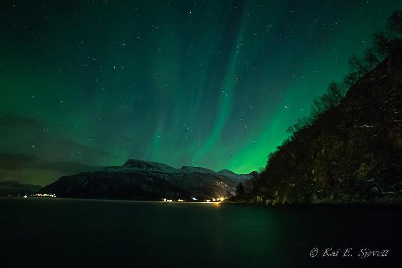 Hotel Elvegard Fjordcamp Grov Exteriér fotografie